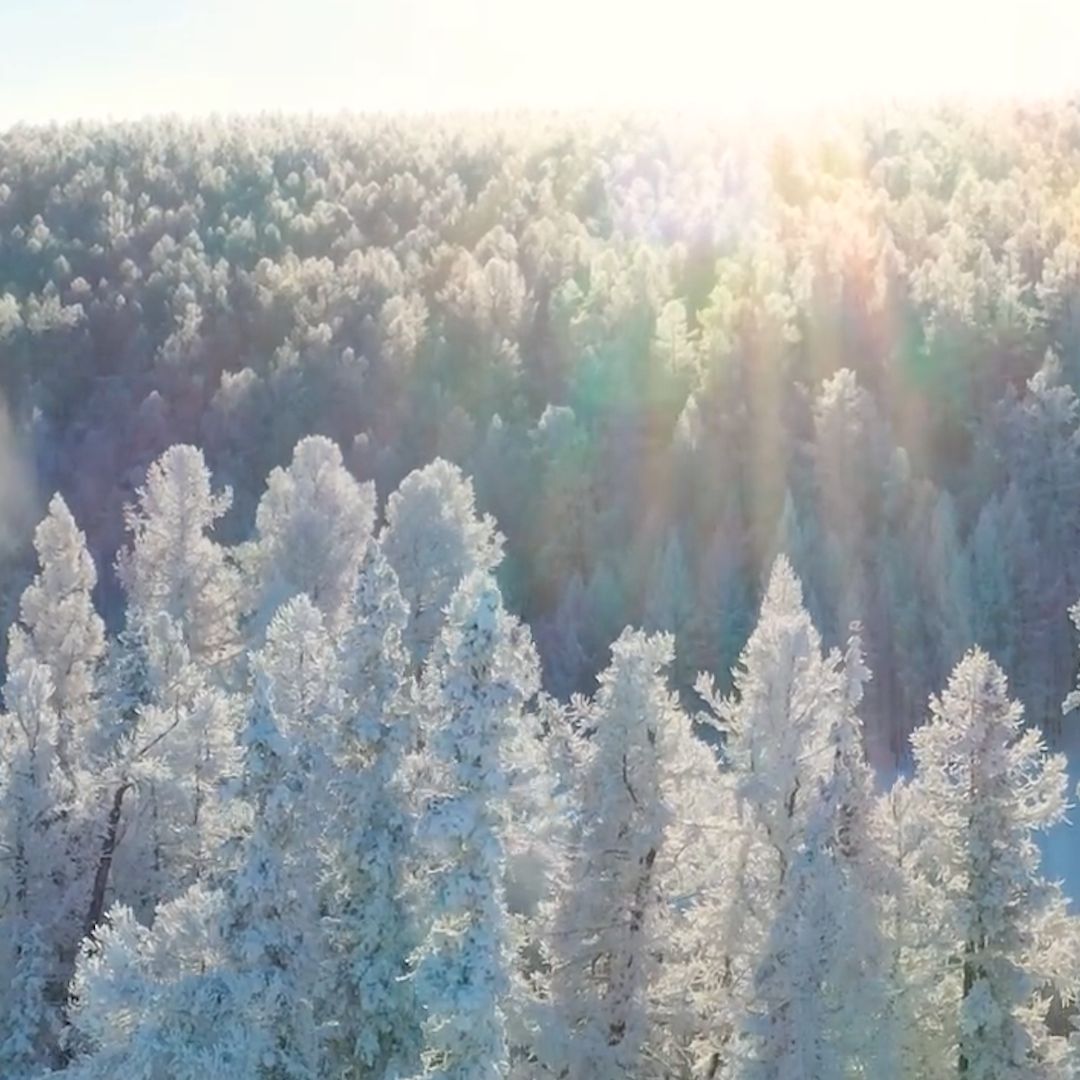 Байгаль дэлхийн үзэсгэлэнтэй төрх